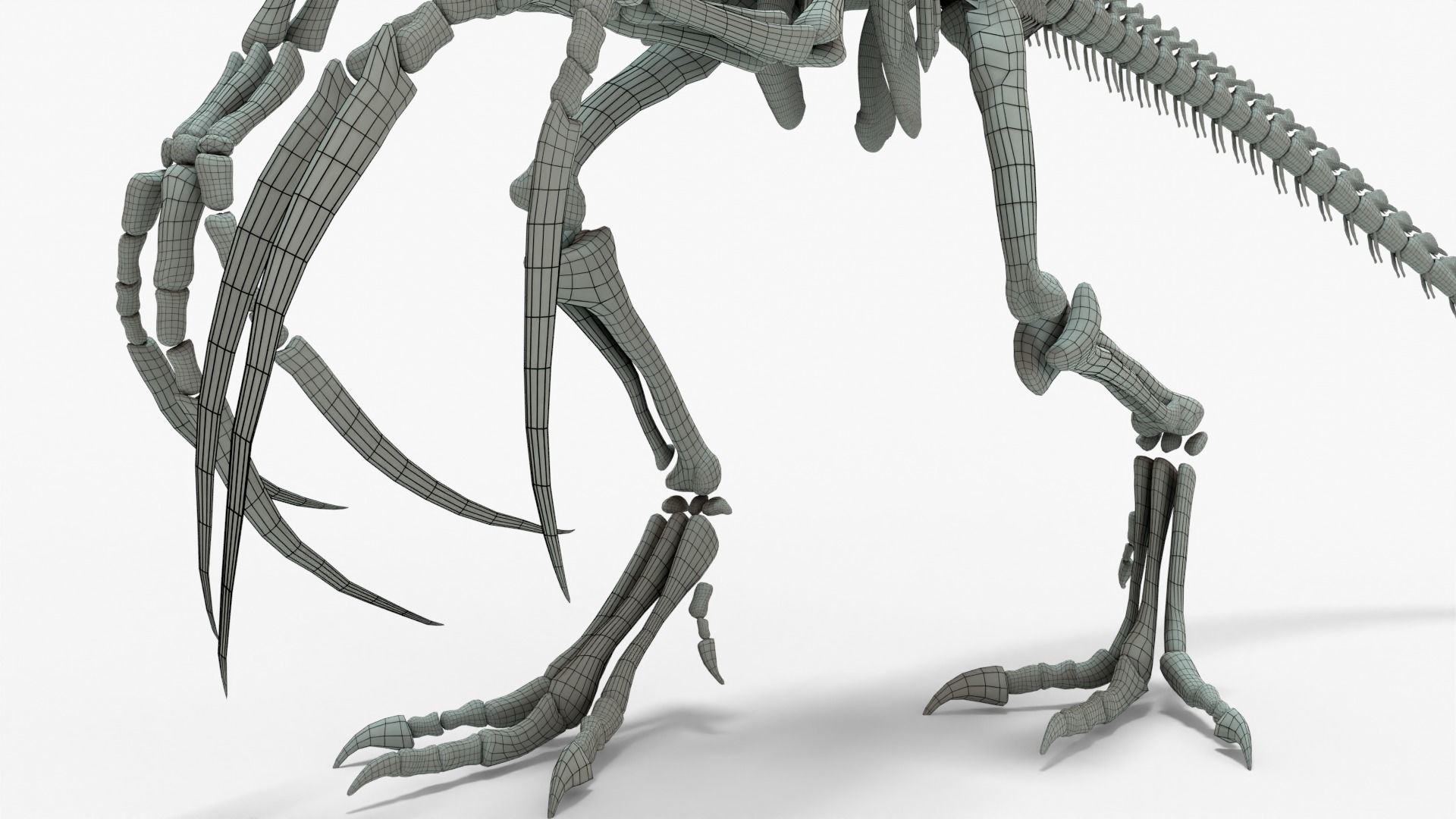 Therizinosaurus Rigged Skeleton Low-poly 3D model_13