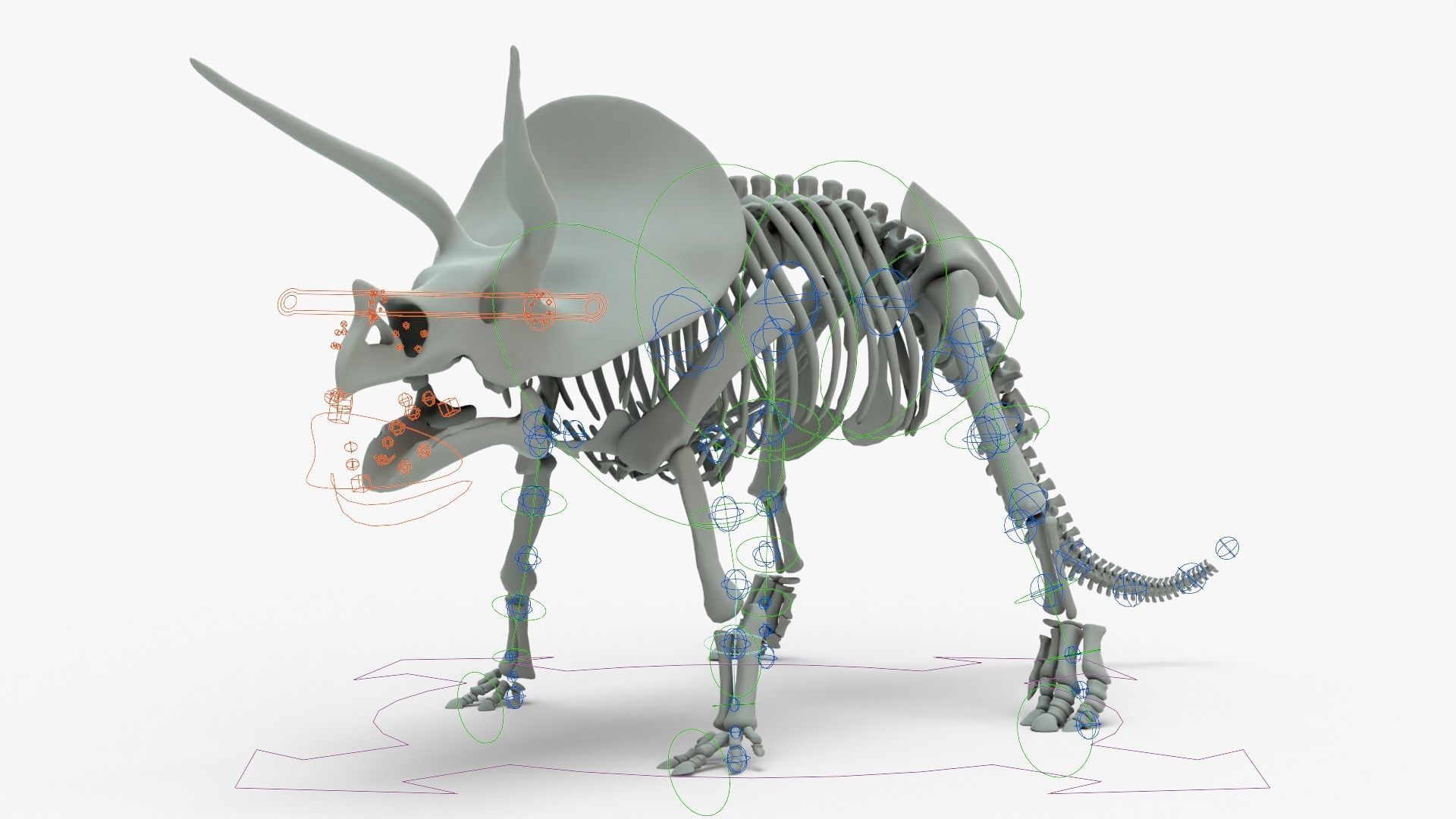 Triceratops Rigged Skeleton Low-poly 3D model_20