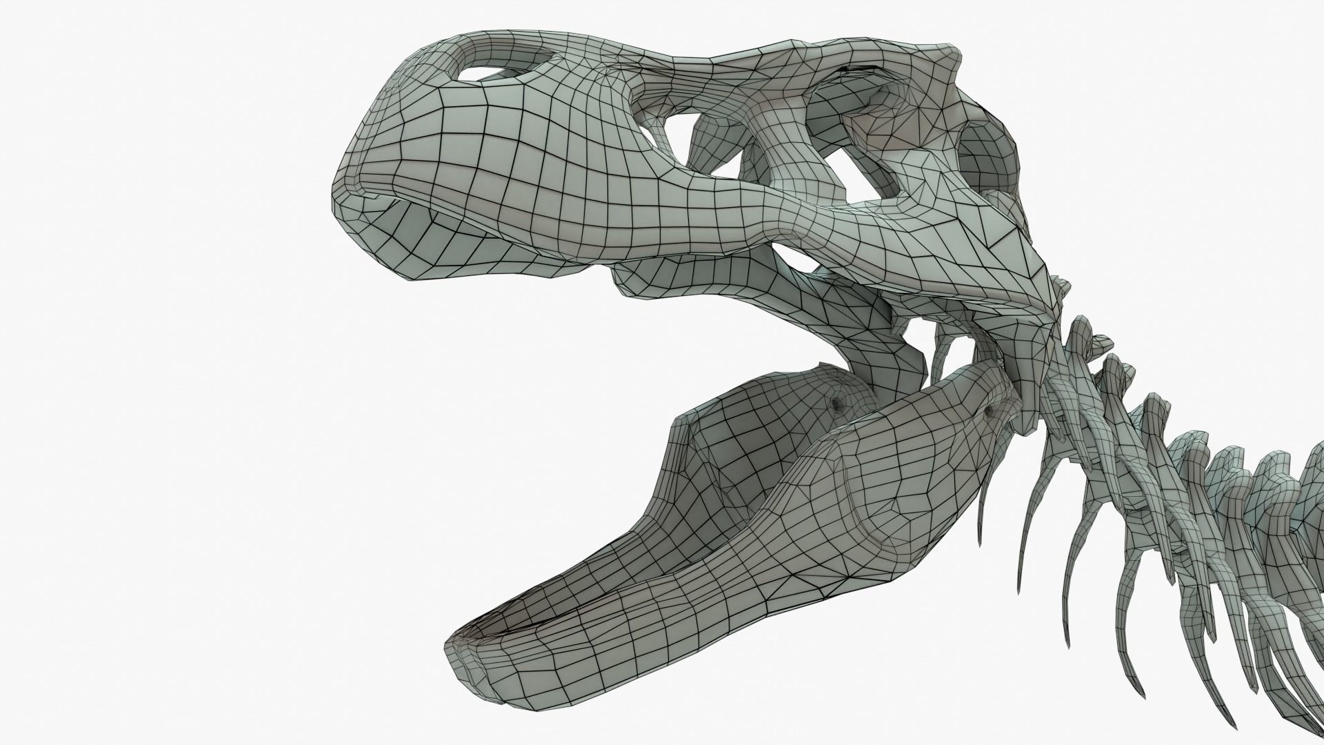 Tyrannosaurus Rex Rigged Skeleton Low-poly 3D model_13