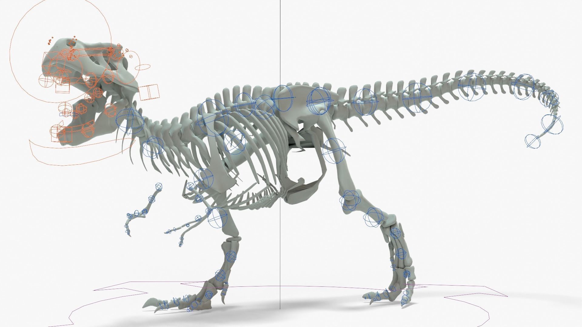 Tyrannosaurus Rex Rigged Skeleton Low-poly 3D model_20