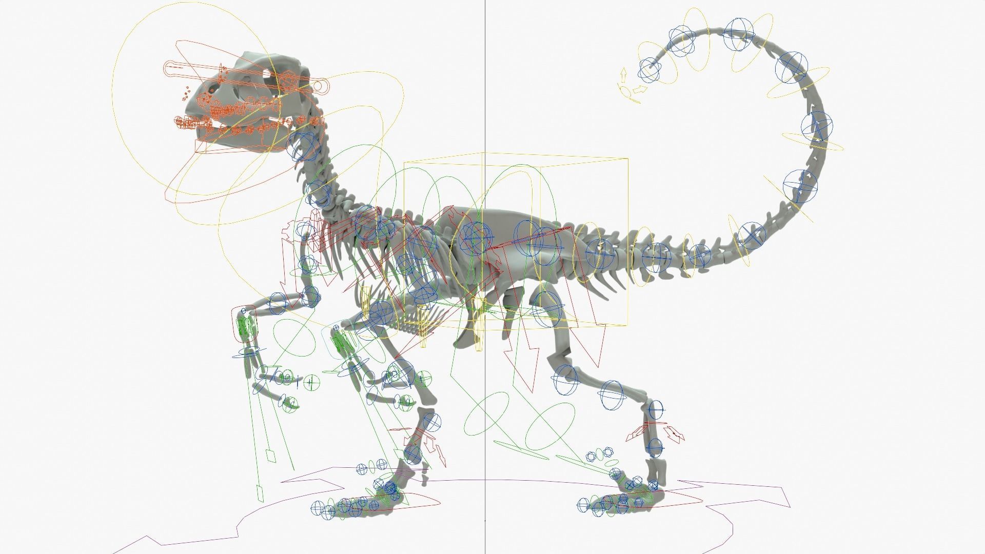 Velociraptor Rigged Skeleton Low-poly 3D model_17