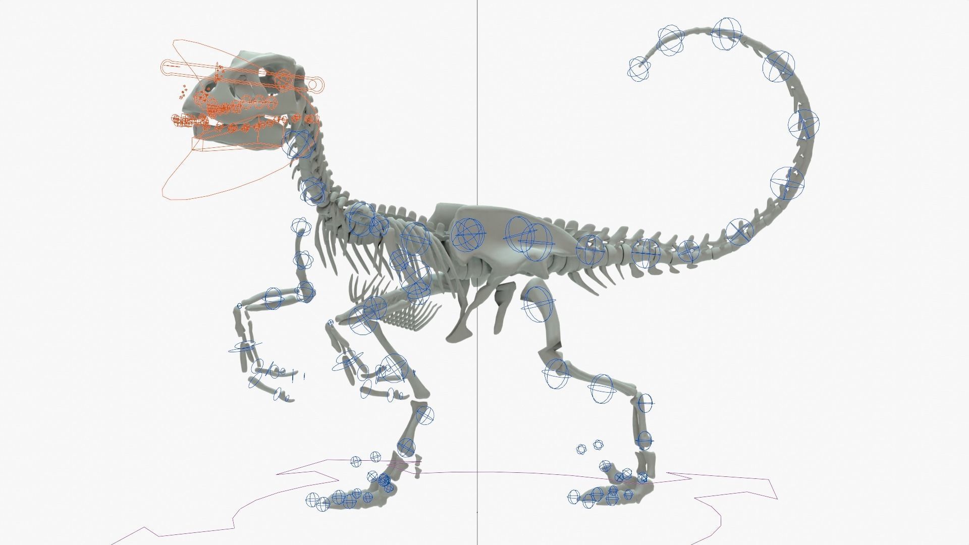 Velociraptor Rigged Skeleton Low-poly 3D model_19