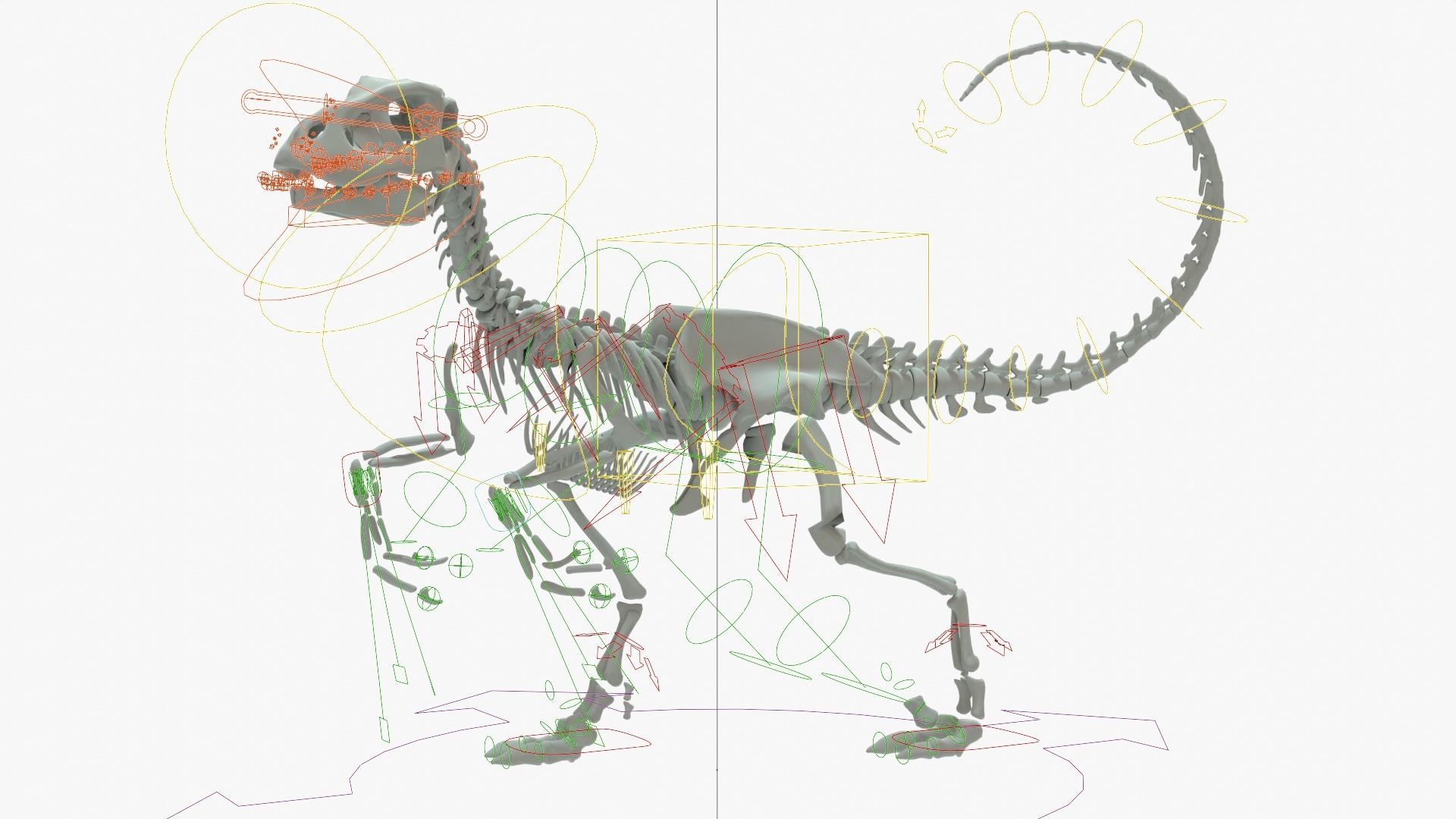 Velociraptor Rigged Skeleton Low-poly 3D model_18