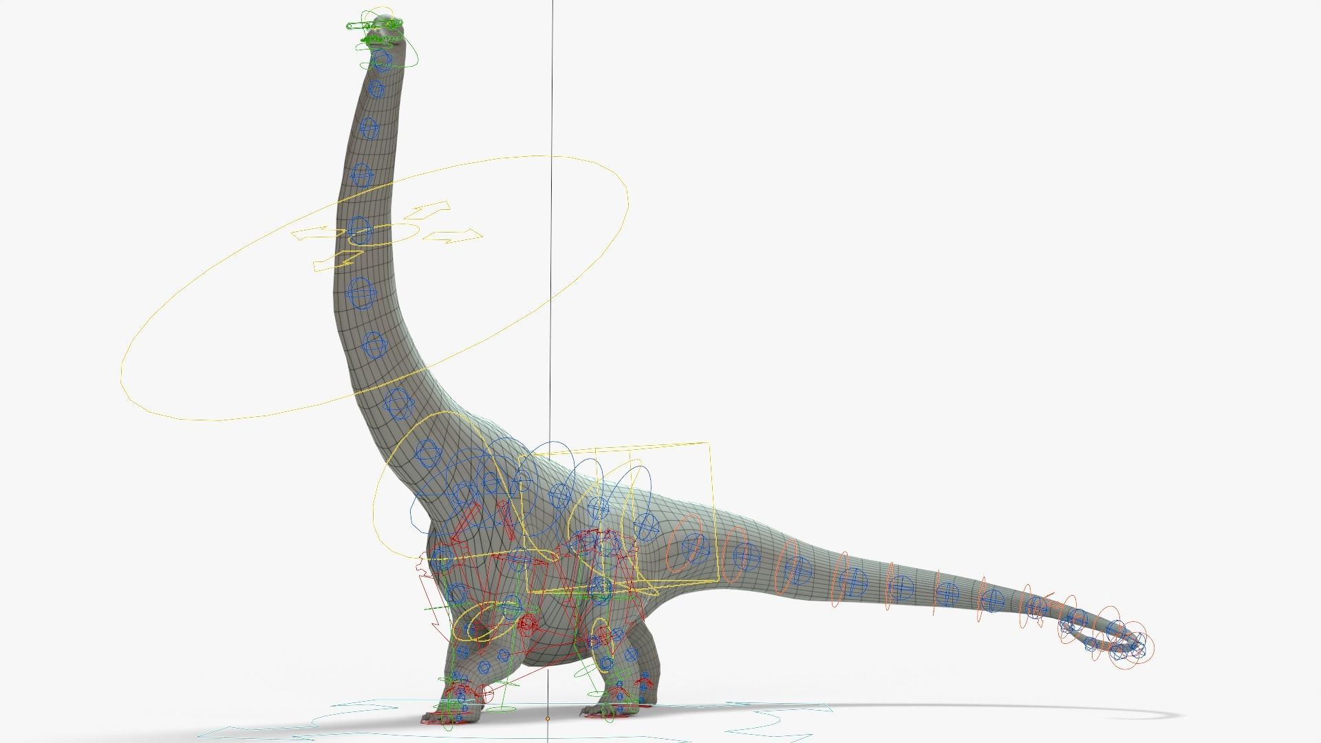 Argentinosaurus Rigged Basemesh With Skeleton 3D Model Collection_19