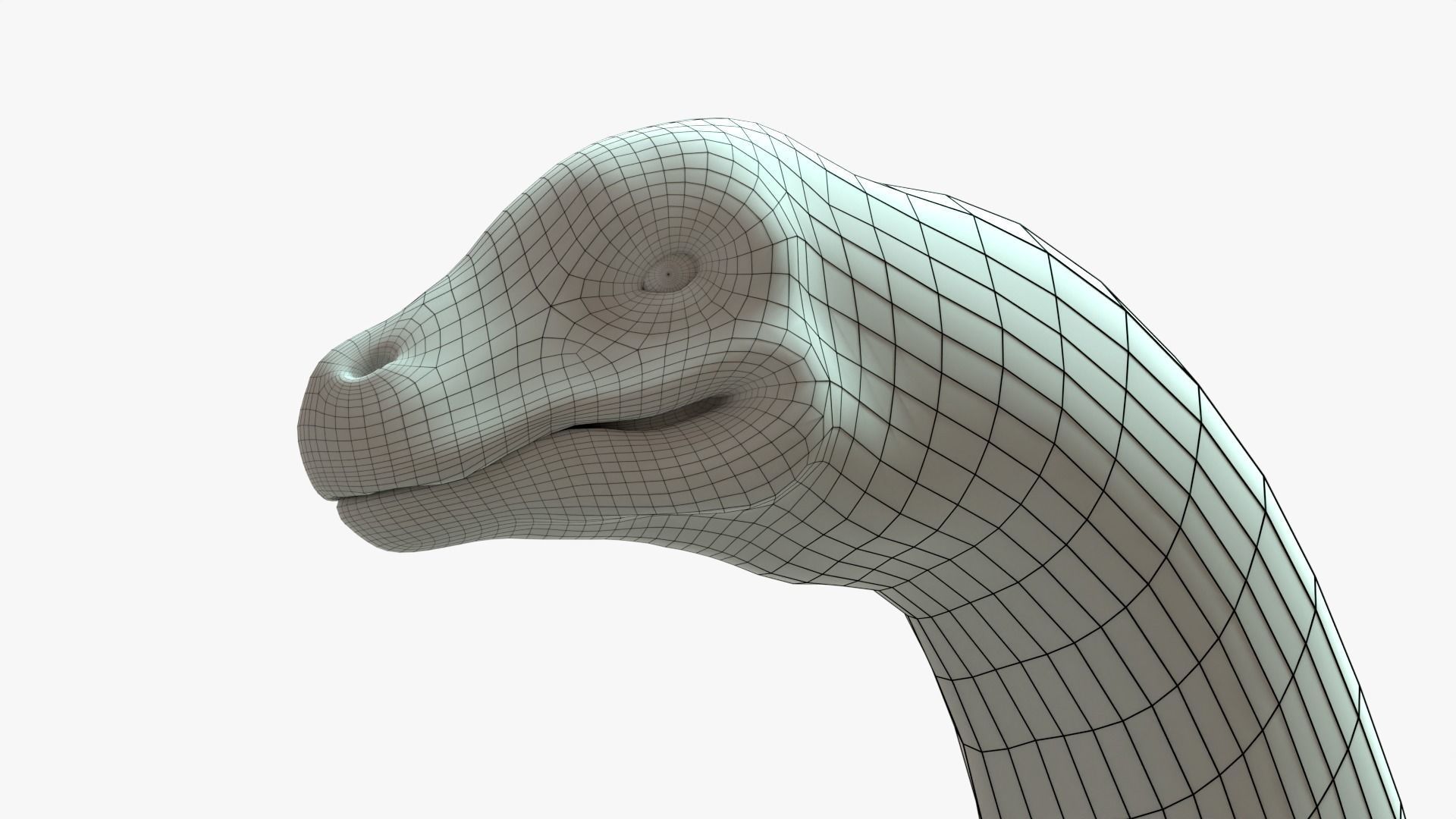 Argentinosaurus Rigged Basemesh With Skeleton 3D Model Collection_10