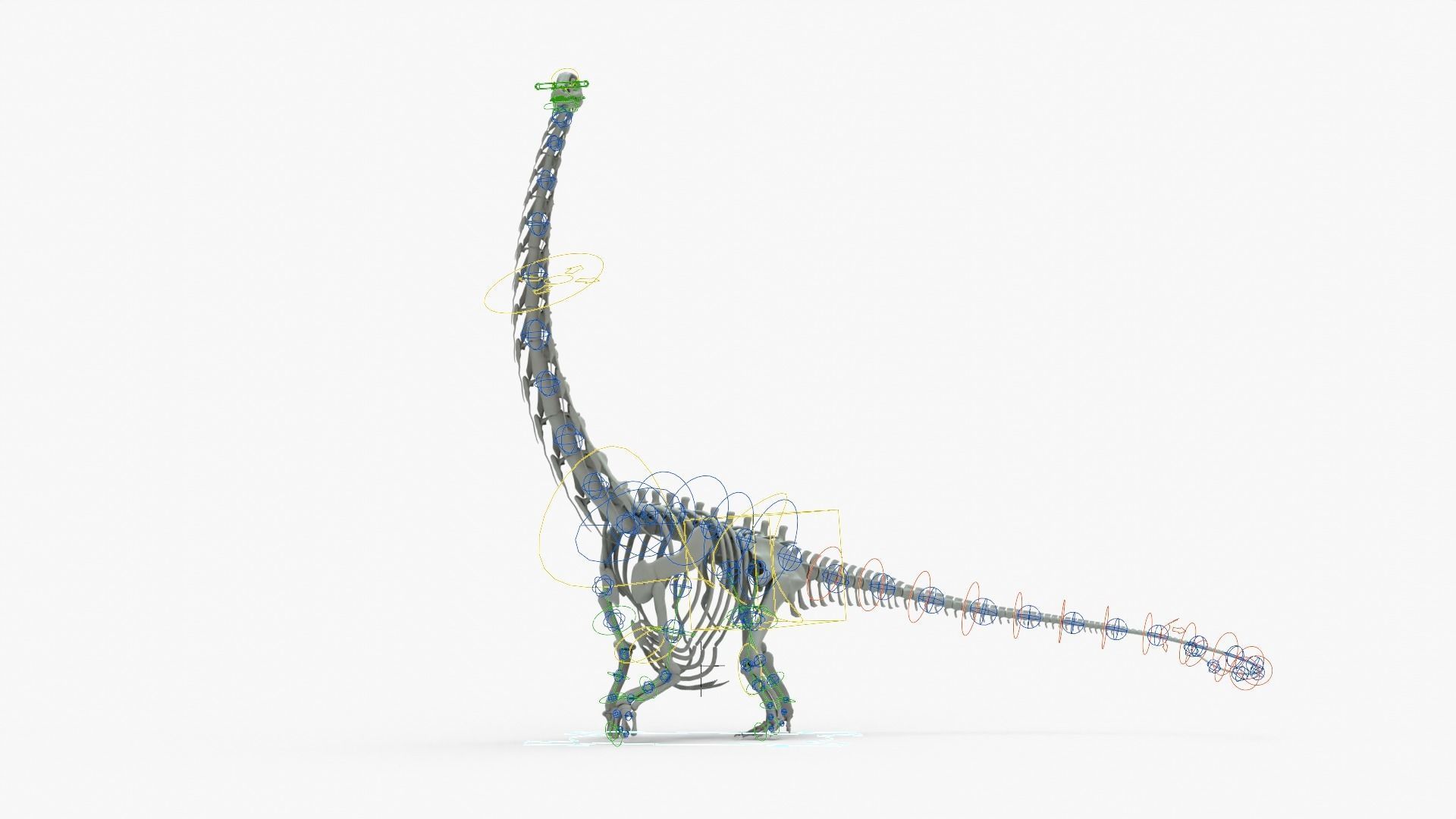 Argentinosaurus Rigged Basemesh With Skeleton 3D Model Collection_21