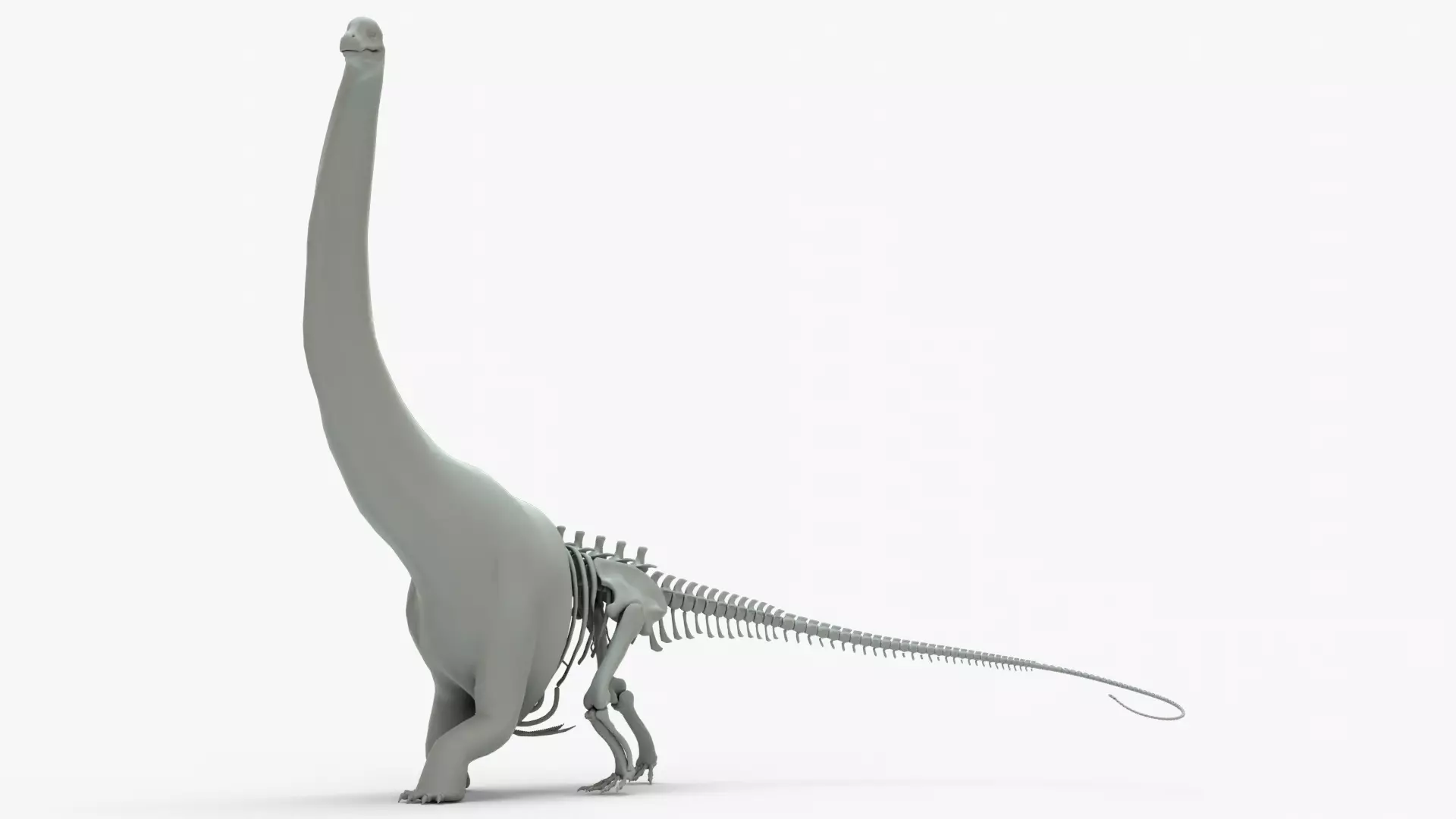 Argentinosaurus Rigged Basemesh With Skeleton 3D Model Collection_0