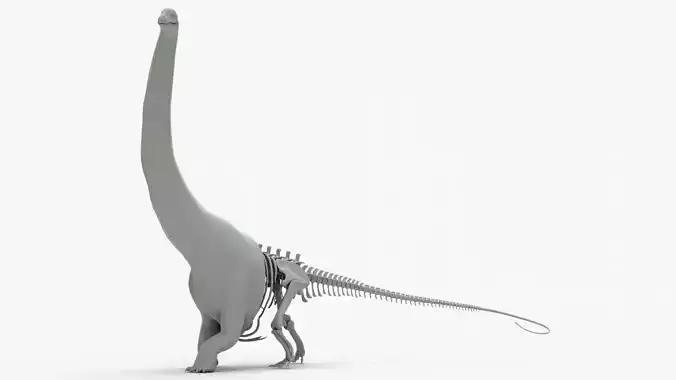 Argentinosaurus Rigged Basemesh With Skeleton