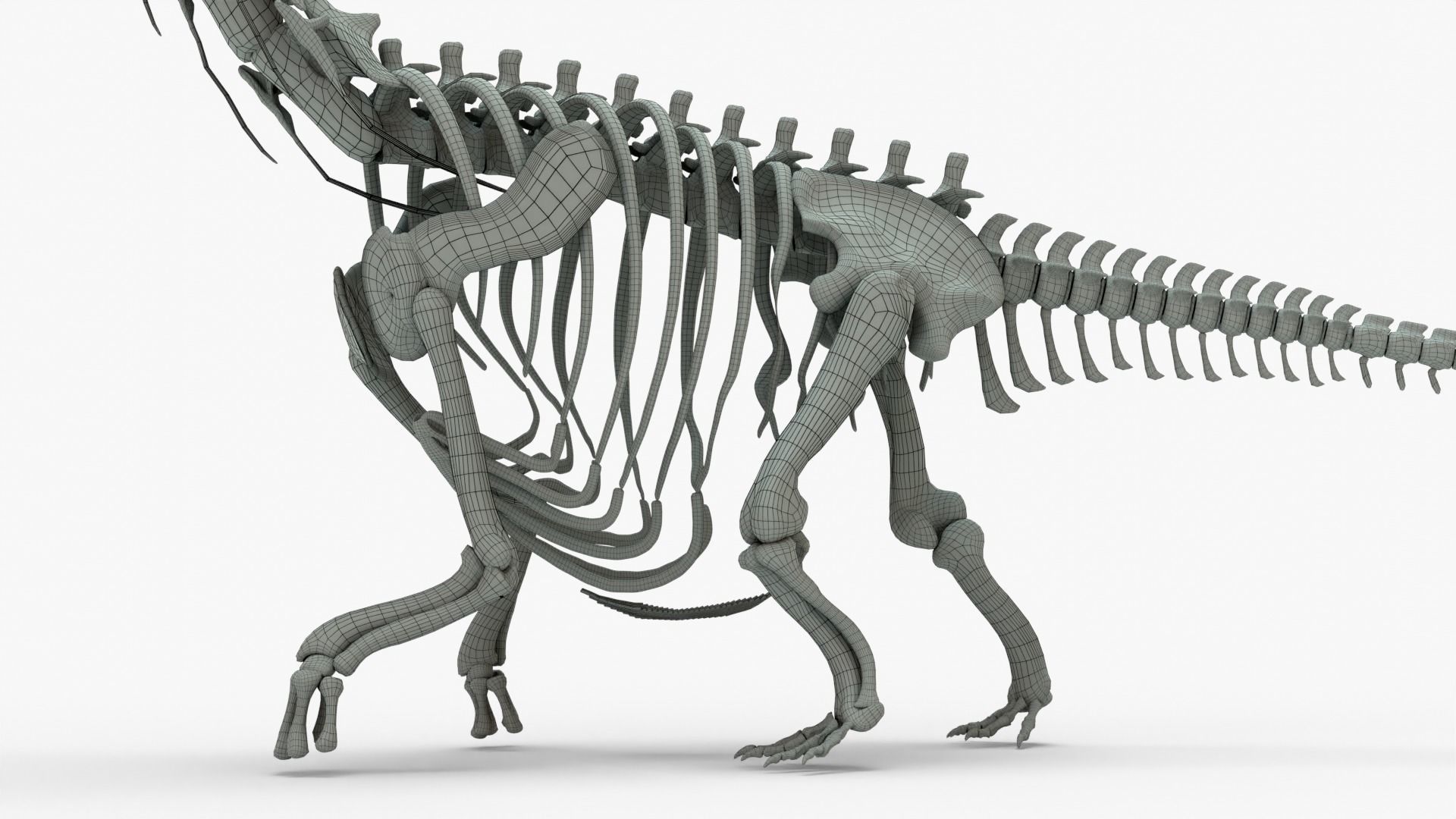 Argentinosaurus Rigged Basemesh With Skeleton 3D Model Collection_12
