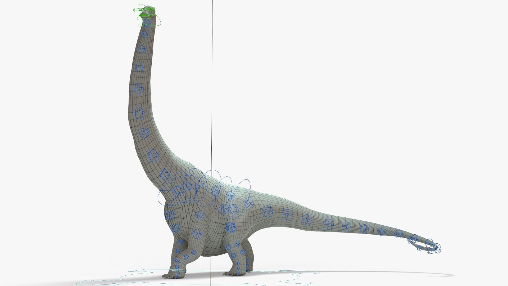 Argentinosaurus Rigged Basemesh With Skeleton 3D Model Collection_20