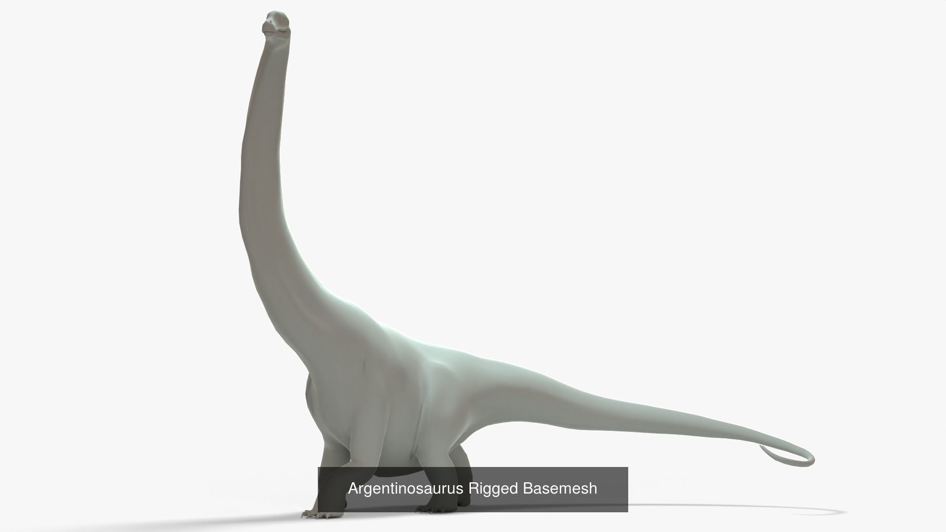 Argentinosaurus Rigged Basemesh With Skeleton 3D Model Collection_3