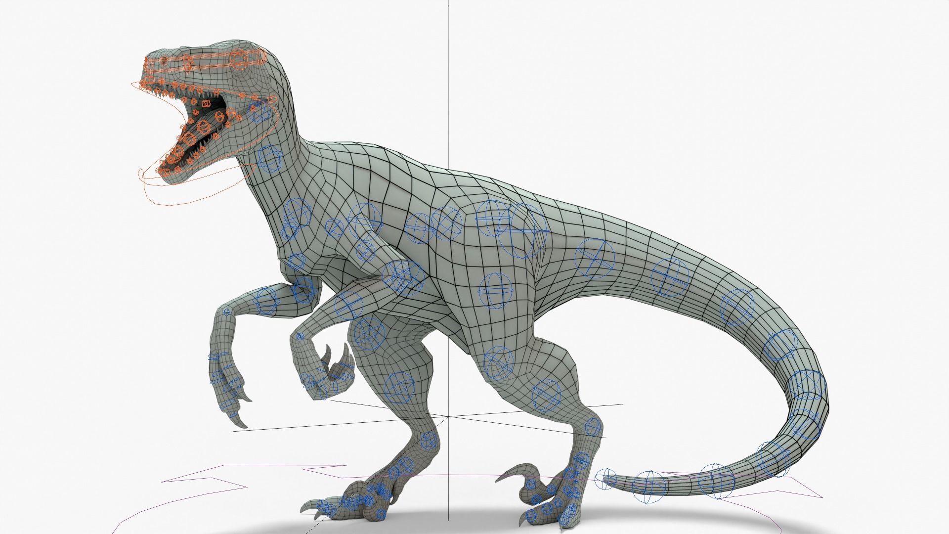 Atrociraptor Rigged Basemesh With Skeleton 3D Model Collection_7