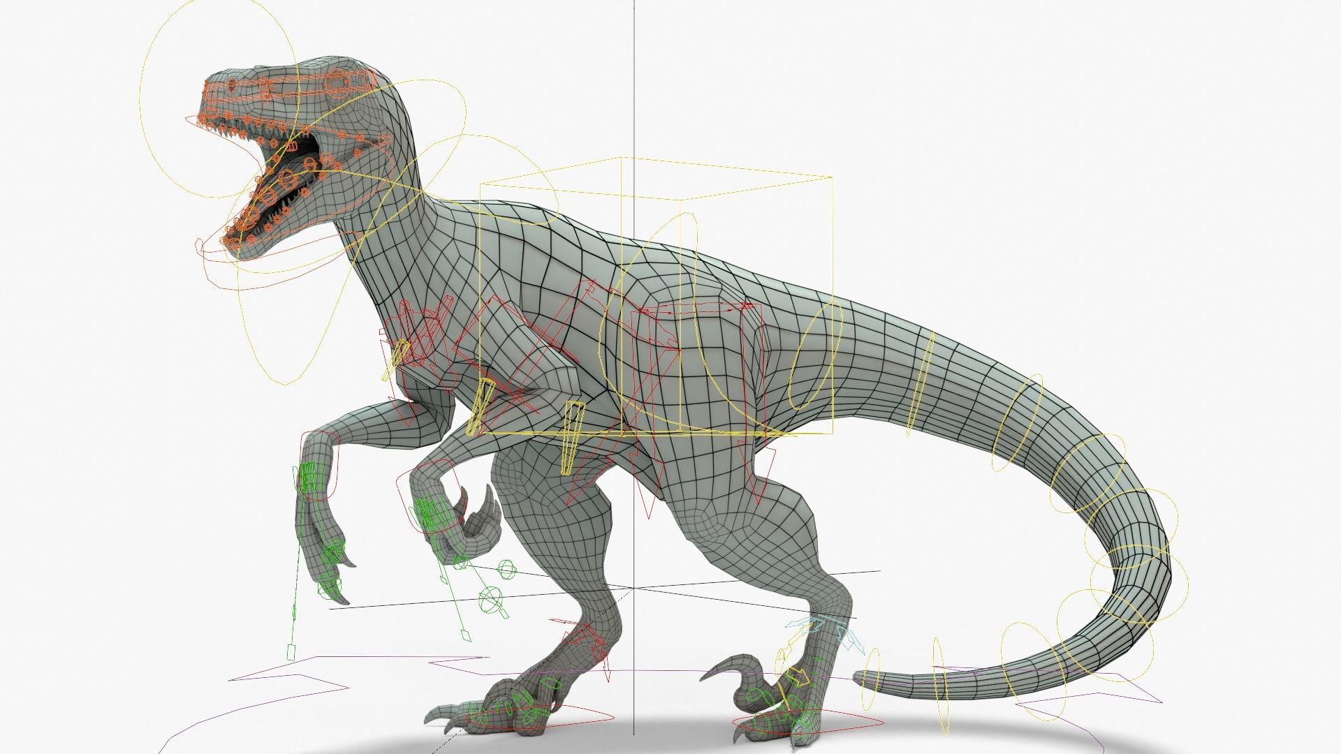 Atrociraptor Rigged Basemesh With Skeleton 3D Model Collection_17