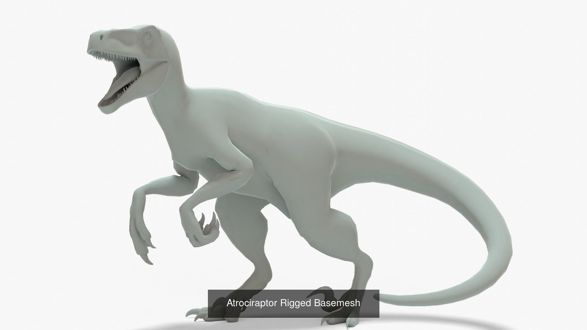 Atrociraptor Rigged Basemesh With Skeleton 3D Model Collection_5