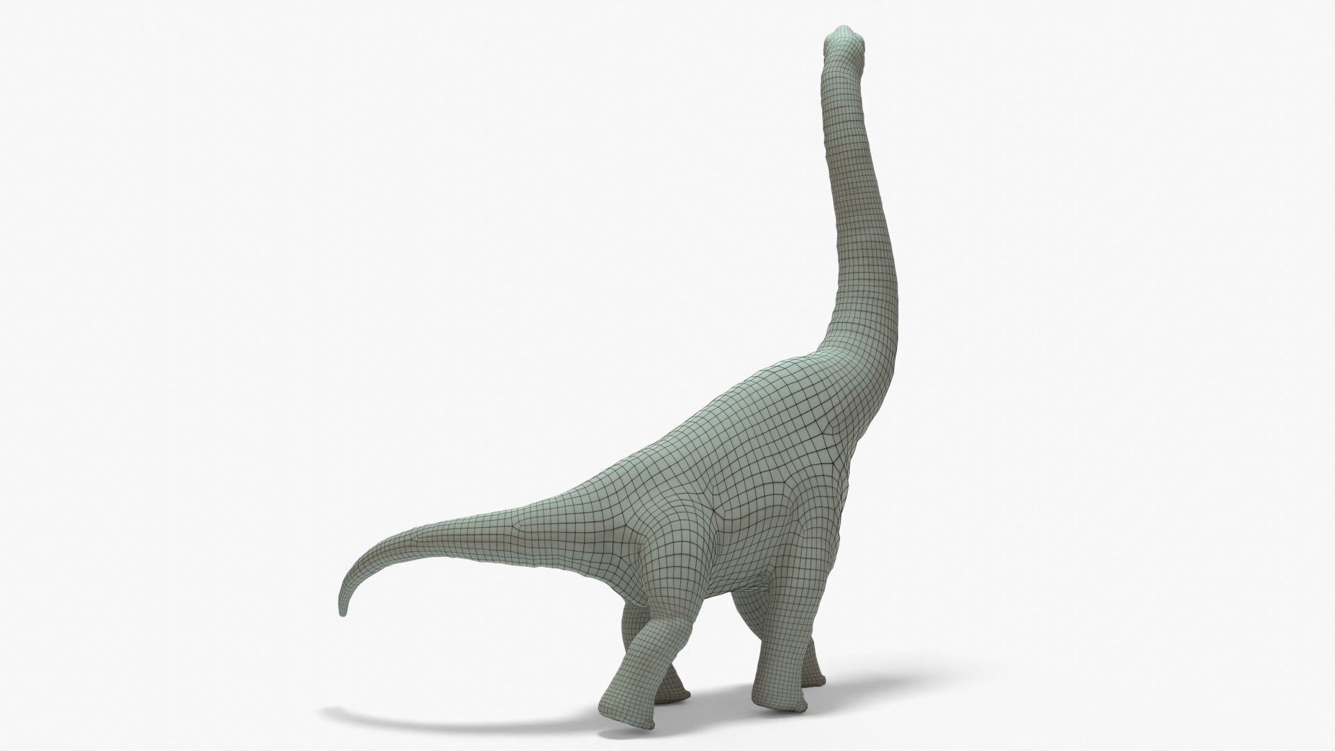 Brachiosaurus Rigged Basemesh With Skeleton 3D Model Collection_14