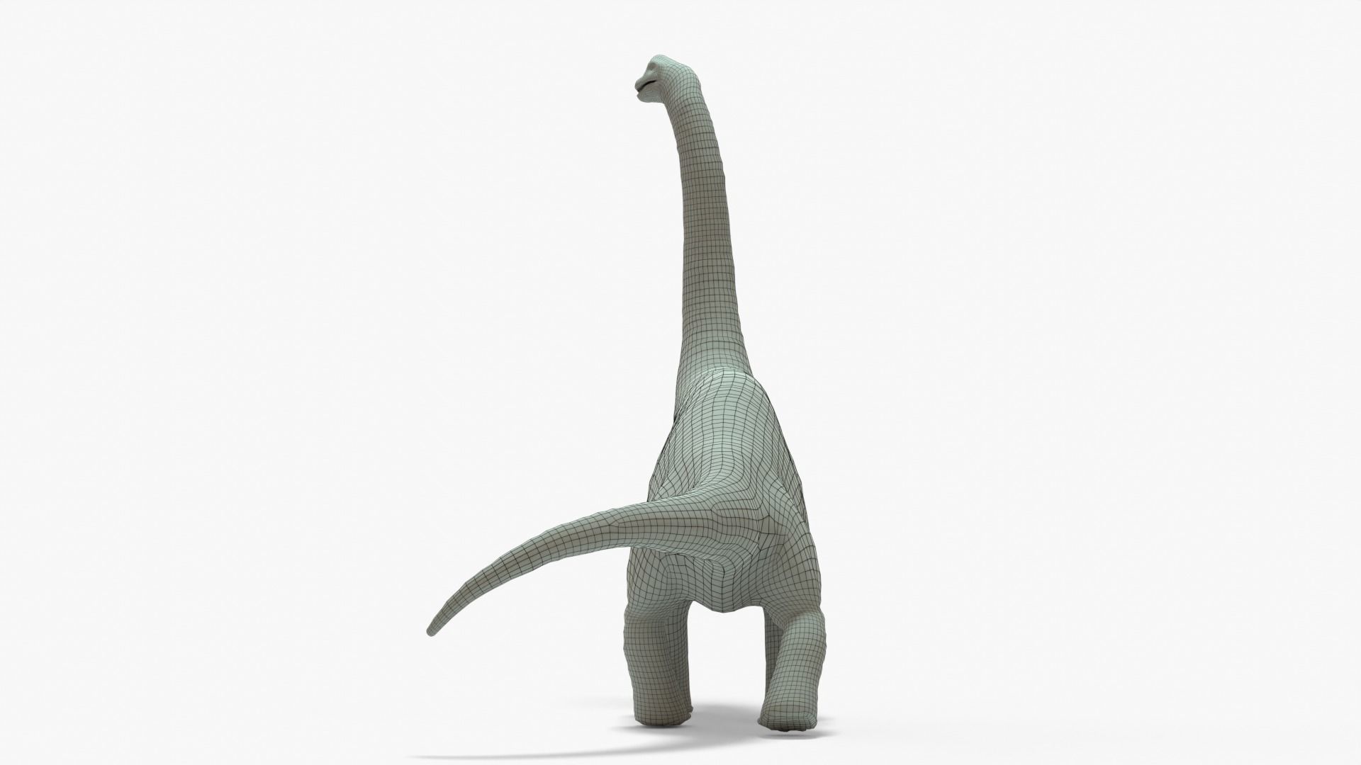 Brachiosaurus Rigged Basemesh With Skeleton 3D Model Collection_13