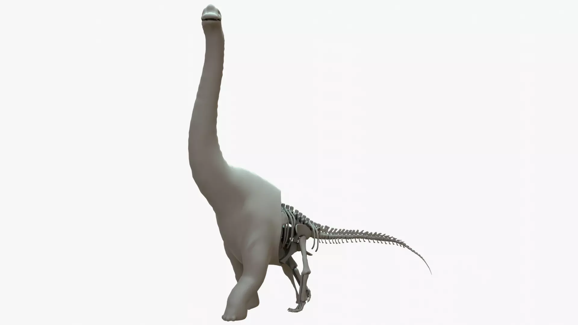 Brachiosaurus Rigged Basemesh With Skeleton 3D Model Collection_0