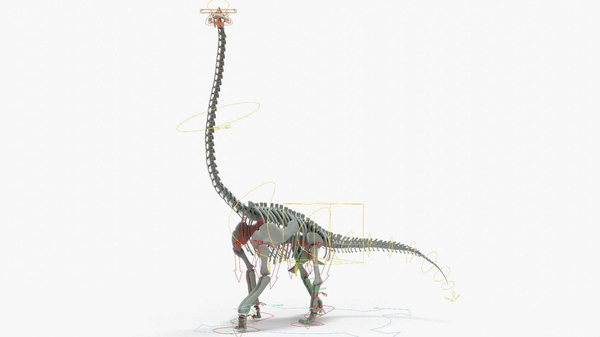 Brachiosaurus Rigged Basemesh With Skeleton 3D Model Collection_18