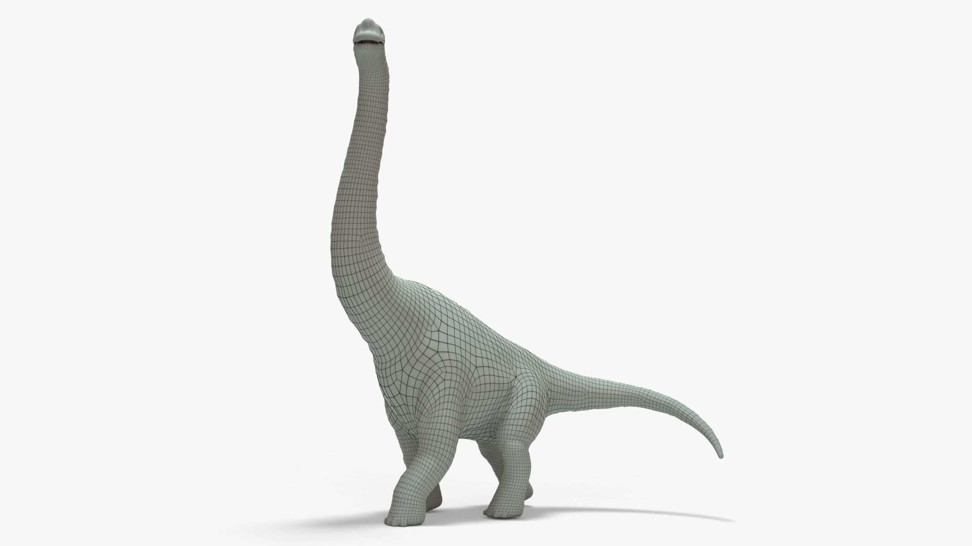 Brachiosaurus Rigged Basemesh With Skeleton 3D Model Collection_7