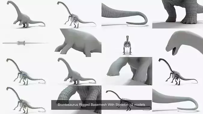 Brontosaurus Rigged Basemesh With Skeleton