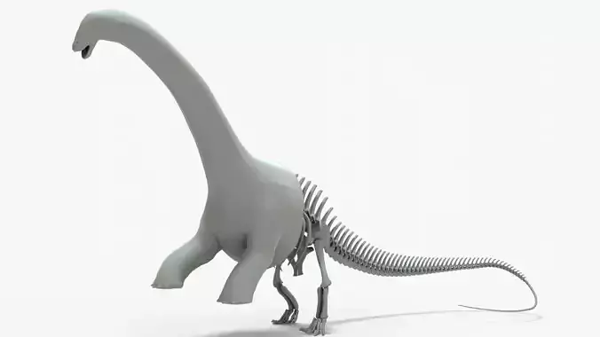 Brontosaurus Rigged Basemesh With Skeleton 3D Model Collection