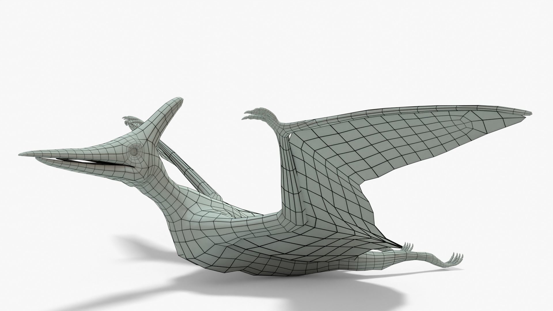 Pteranodon Rigged Basemesh With Skeleton 3D Model Collection_10