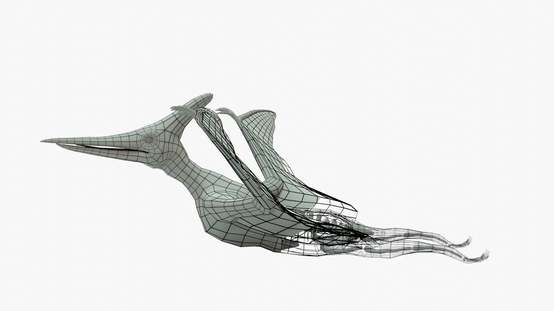 Pteranodon Rigged Basemesh With Skeleton 3D Model Collection_12
