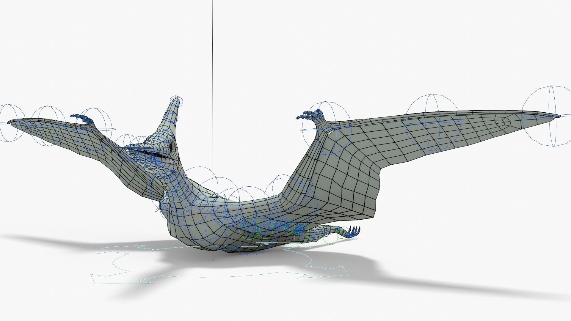 Pteranodon Rigged Basemesh With Skeleton 3D Model Collection_23