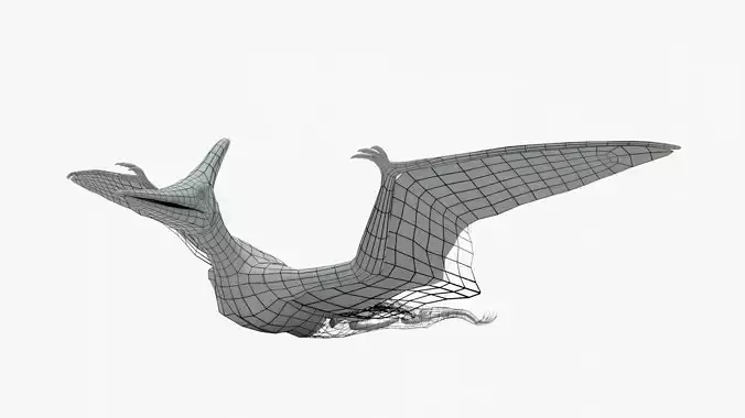 Pteranodon Rigged Basemesh With Skeleton 3D Model Collection