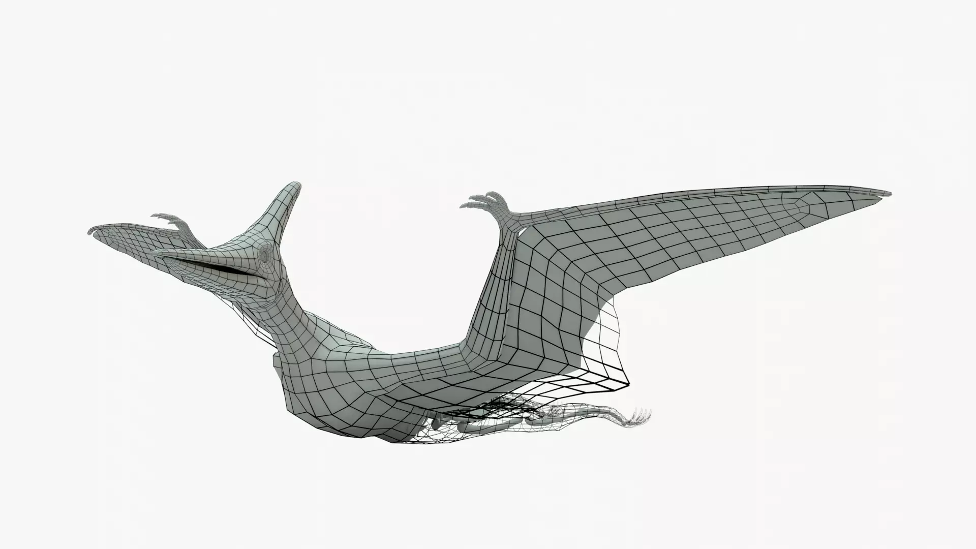 Pteranodon Rigged Basemesh With Skeleton 3D Model Collection_0