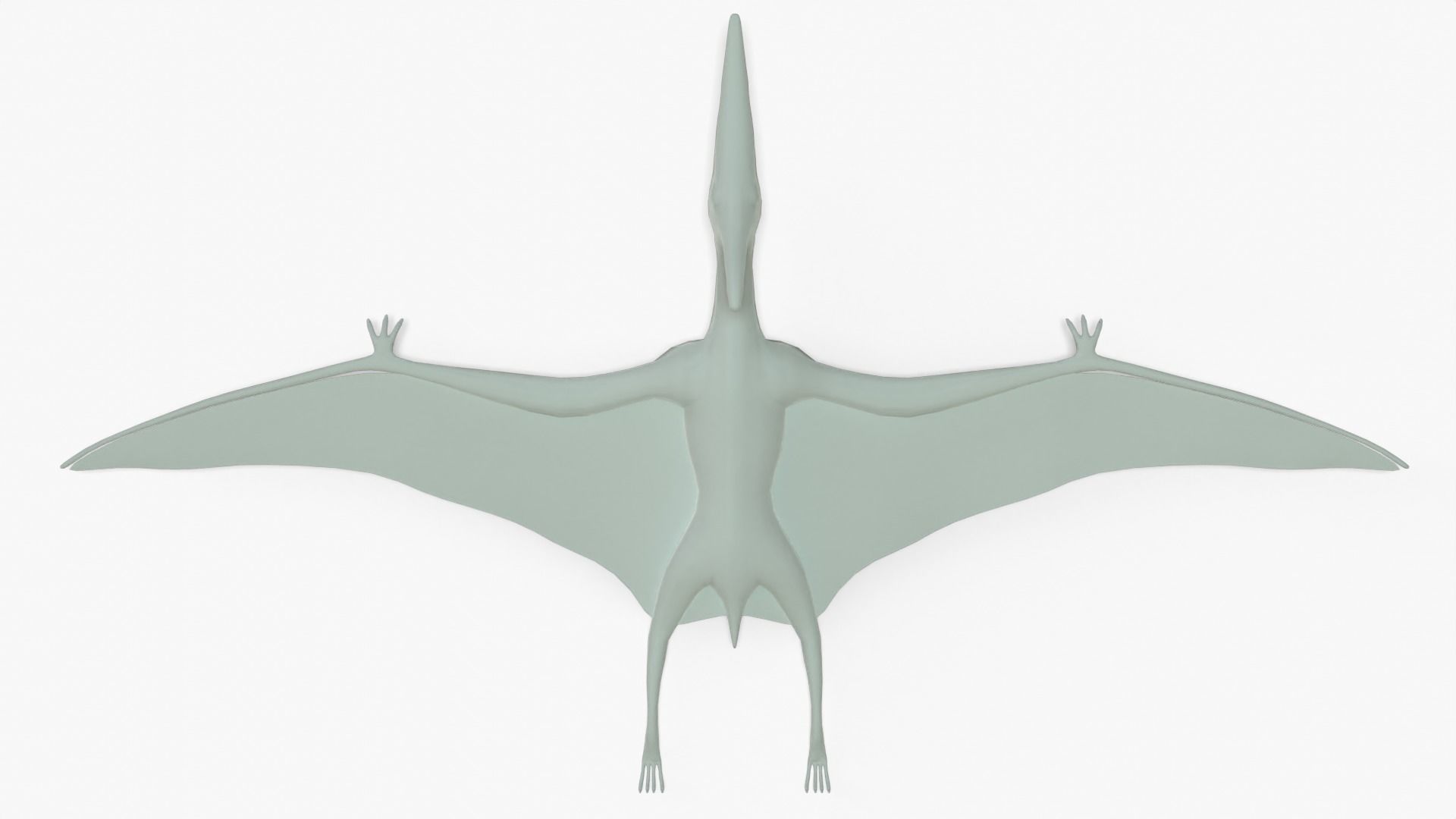 Pteranodon Rigged Basemesh With Skeleton 3D Model Collection_16
