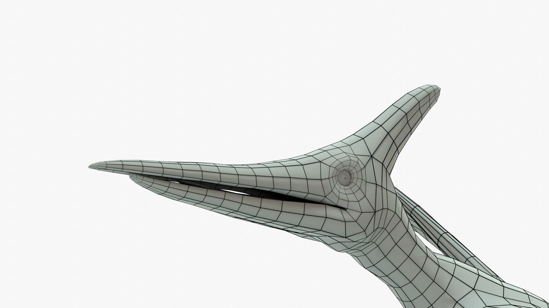 Pteranodon Rigged Basemesh With Skeleton 3D Model Collection_21