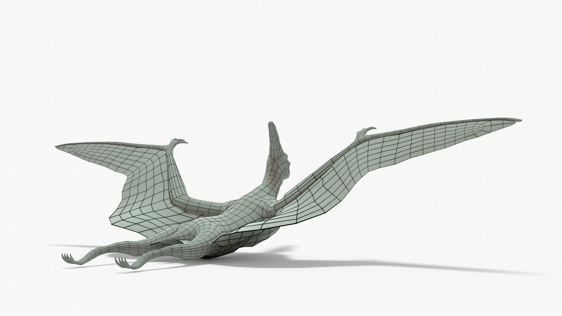Pteranodon Rigged Basemesh With Skeleton 3D Model Collection_19