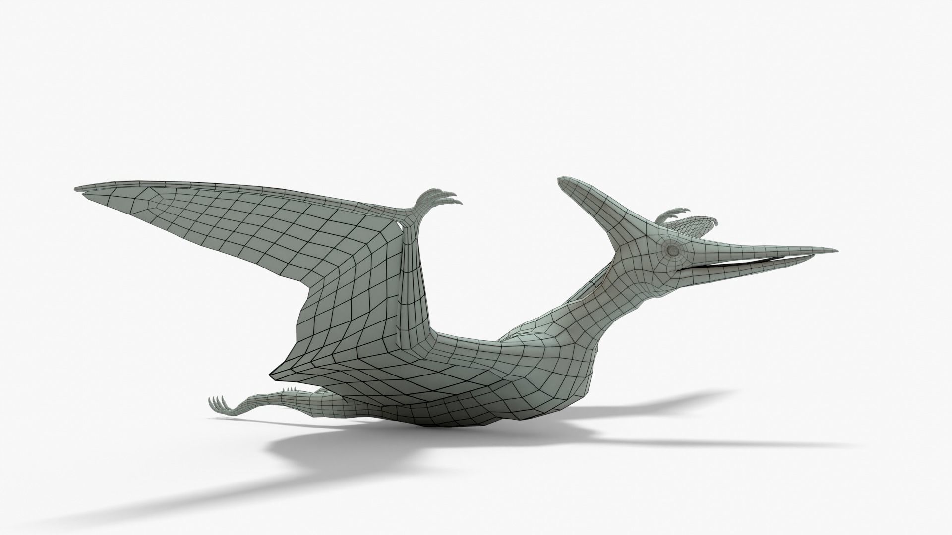 Pteranodon Rigged Basemesh With Skeleton 3D Model Collection_11