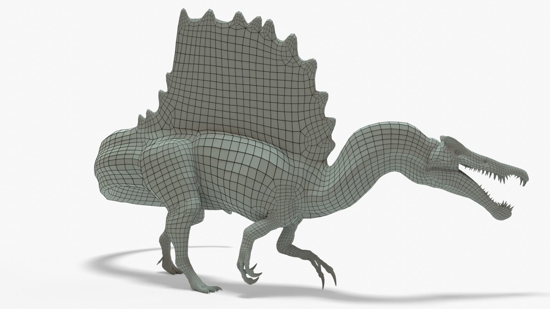 Spinosaurus Rigged Basemesh With Skeleton 3D Model Collection_21