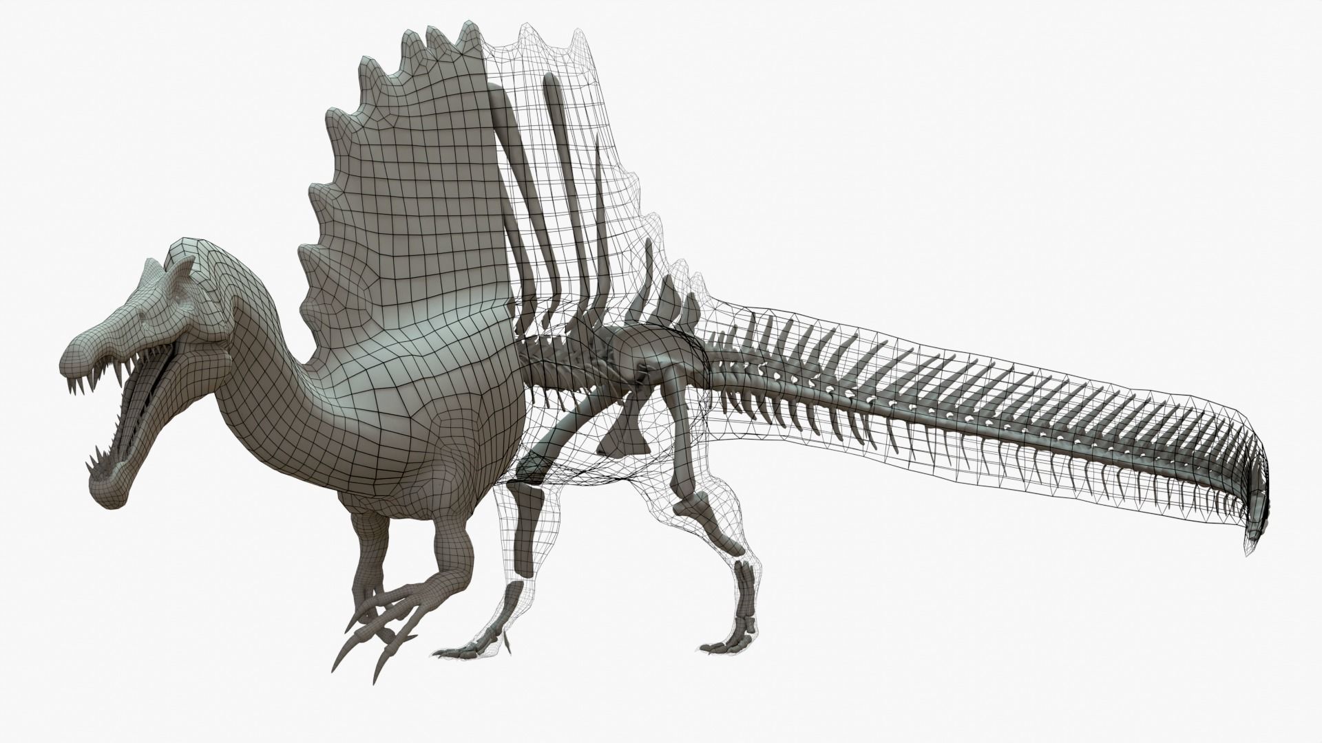 Spinosaurus Rigged Basemesh With Skeleton 3D Model Collection_2