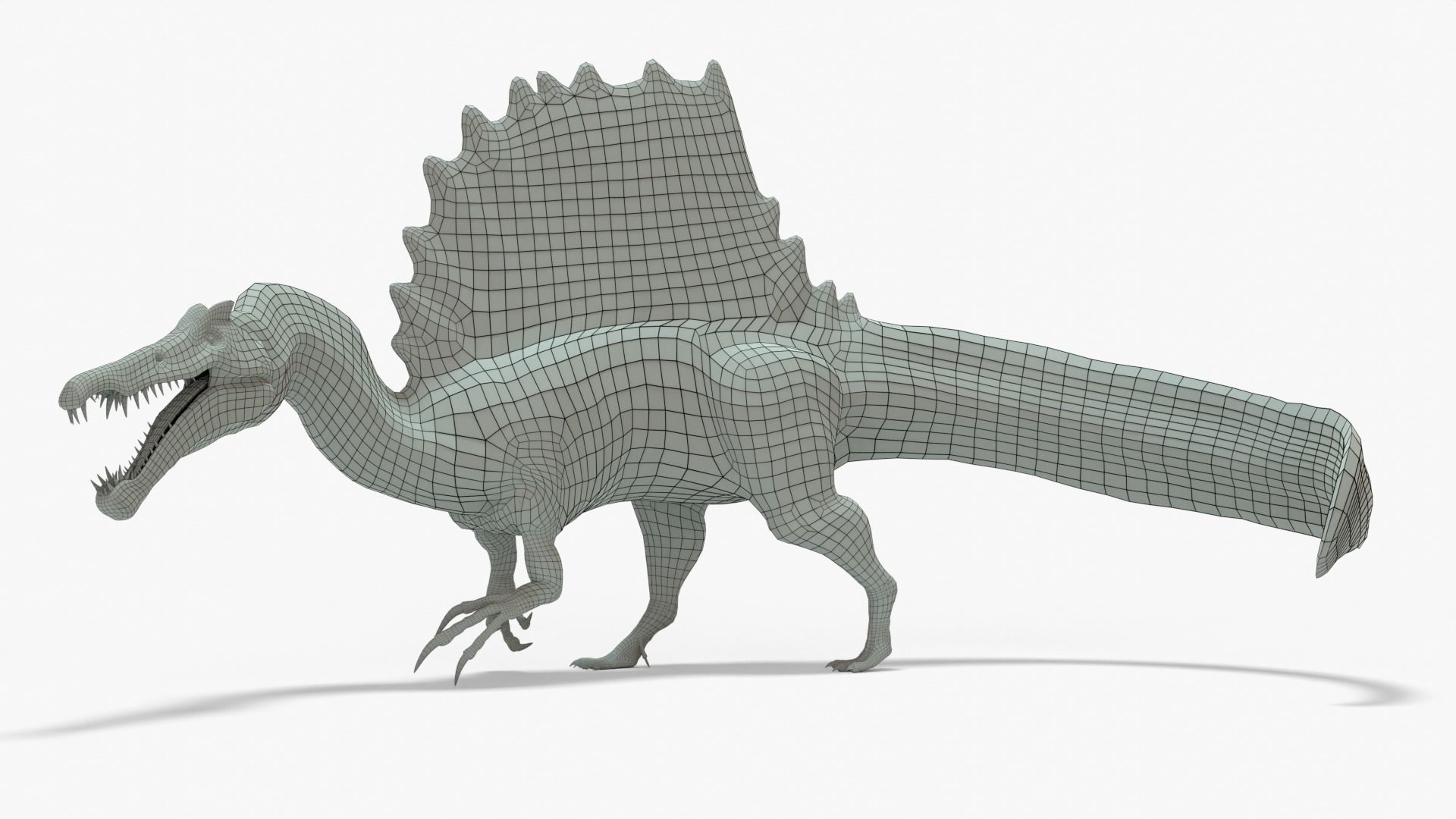 Spinosaurus Rigged Basemesh With Skeleton 3D Model Collection_7