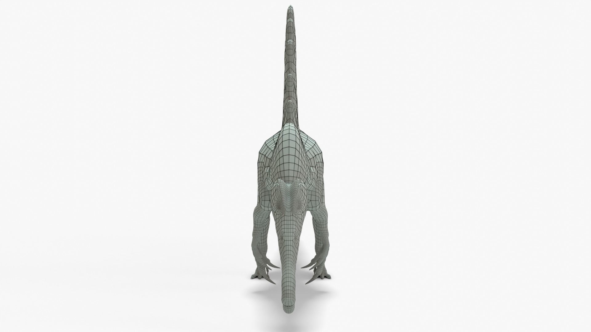 Spinosaurus Rigged Basemesh With Skeleton 3D Model Collection_18