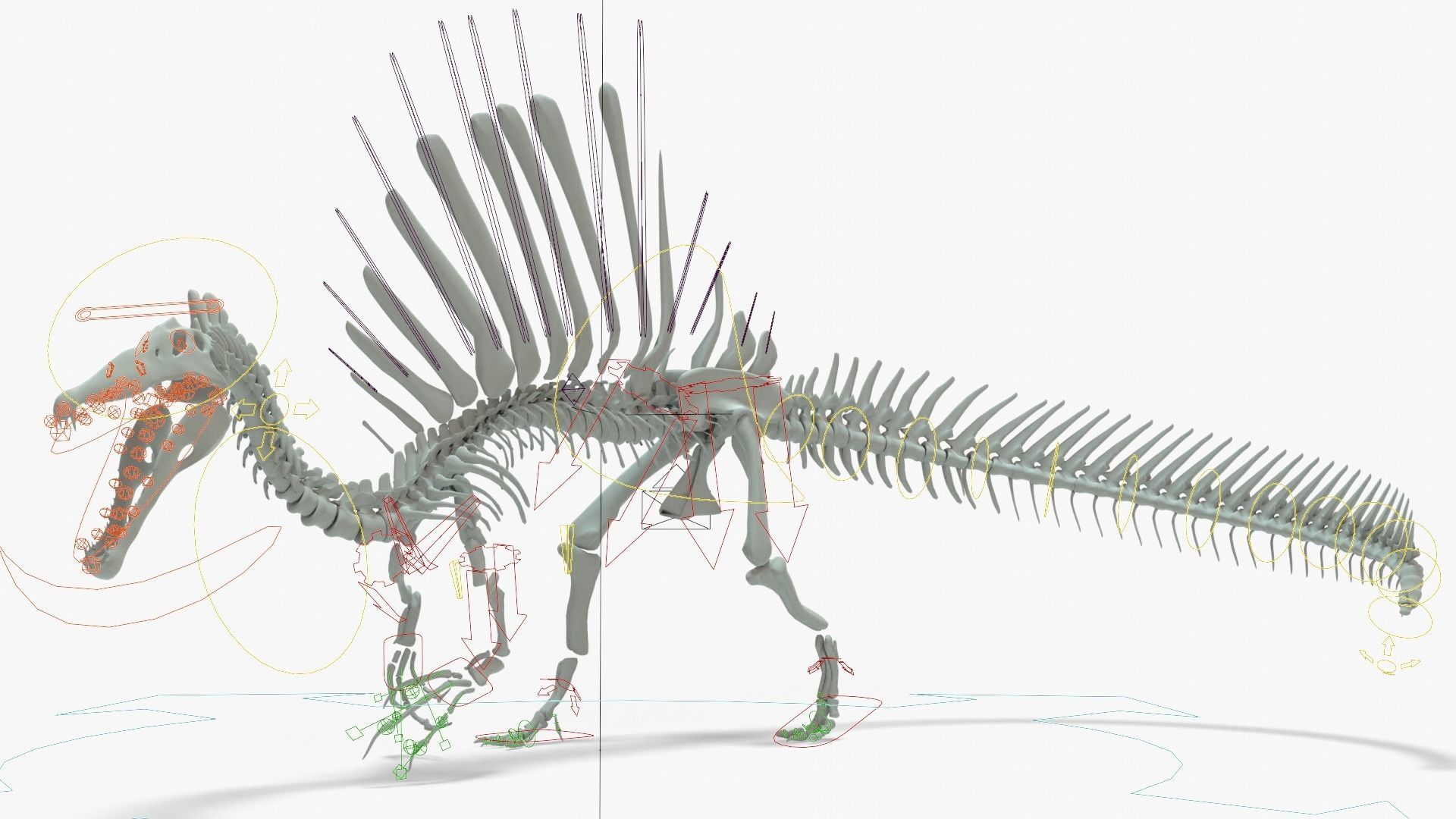 Spinosaurus Rigged Basemesh With Skeleton 3D Model Collection_27