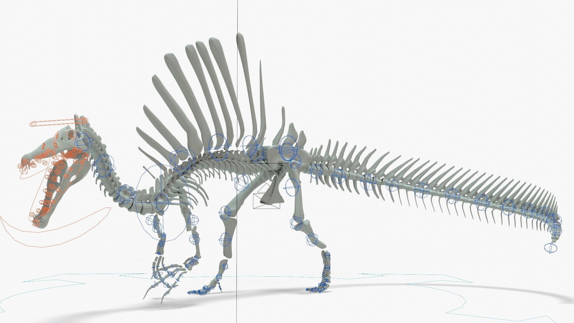 Spinosaurus Rigged Basemesh With Skeleton 3D Model Collection_26