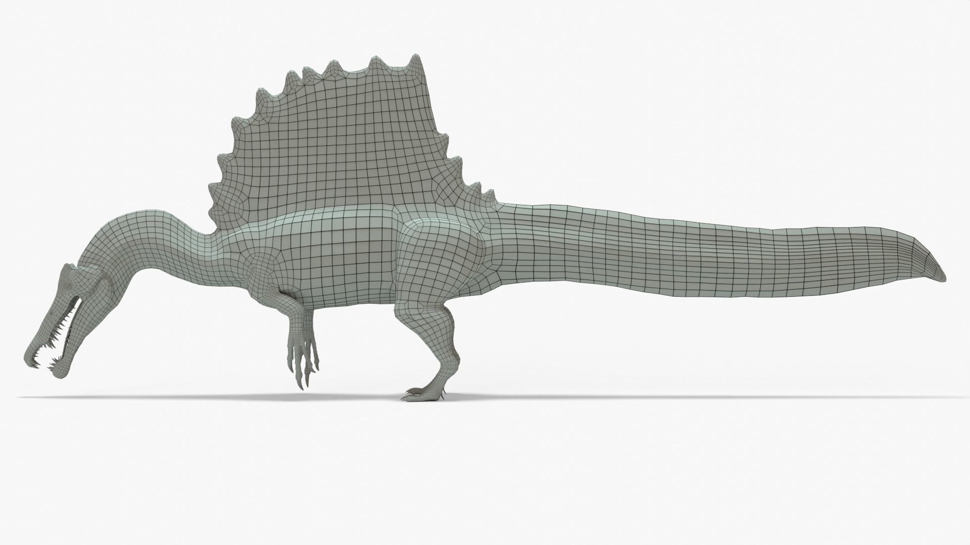 Spinosaurus Rigged Basemesh With Skeleton 3D Model Collection_4