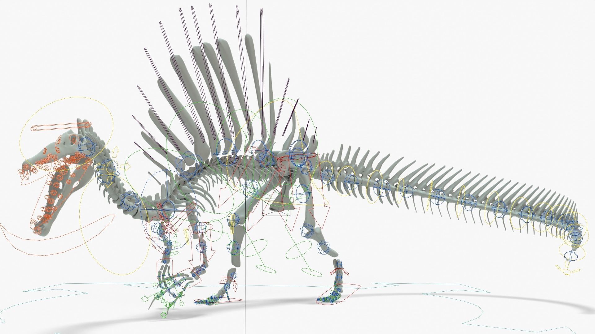 Spinosaurus Rigged Basemesh With Skeleton 3D Model Collection_28