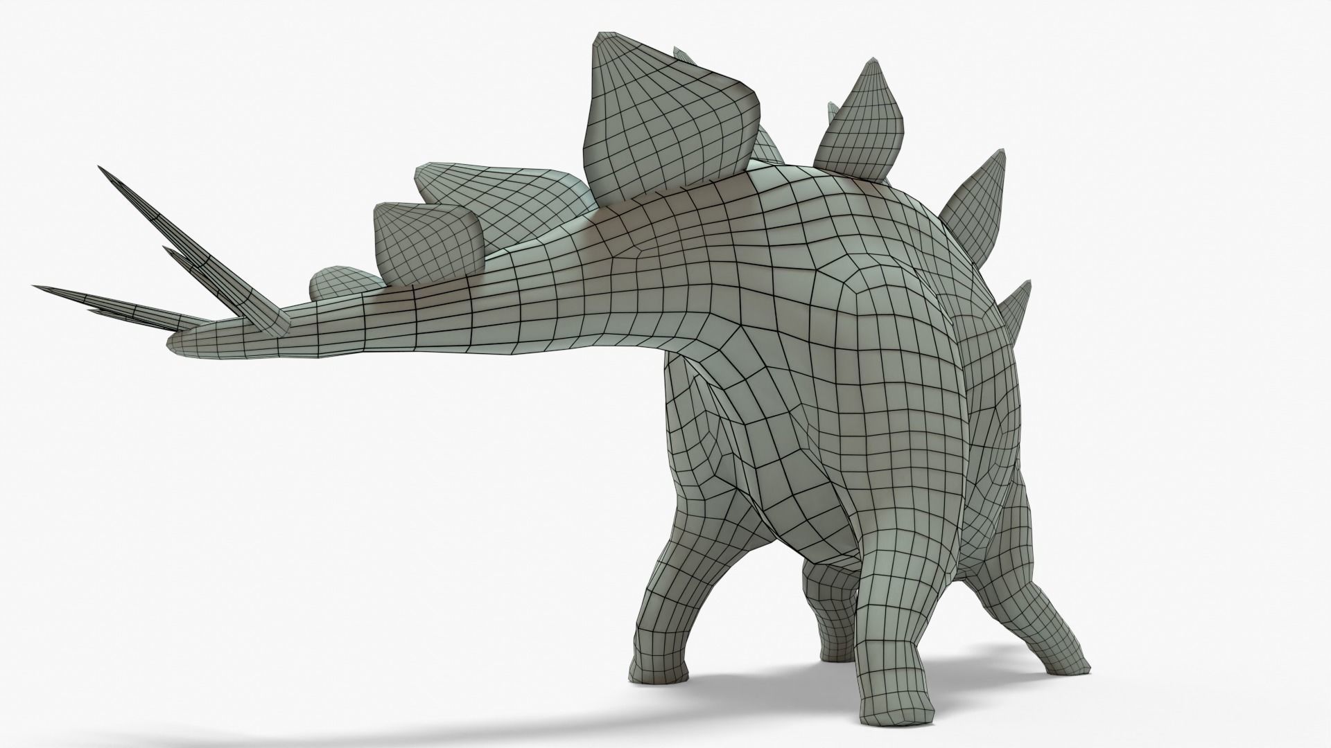 Stegosaurus Rigged Basemesh With Skeleton 3D Model Collection_14