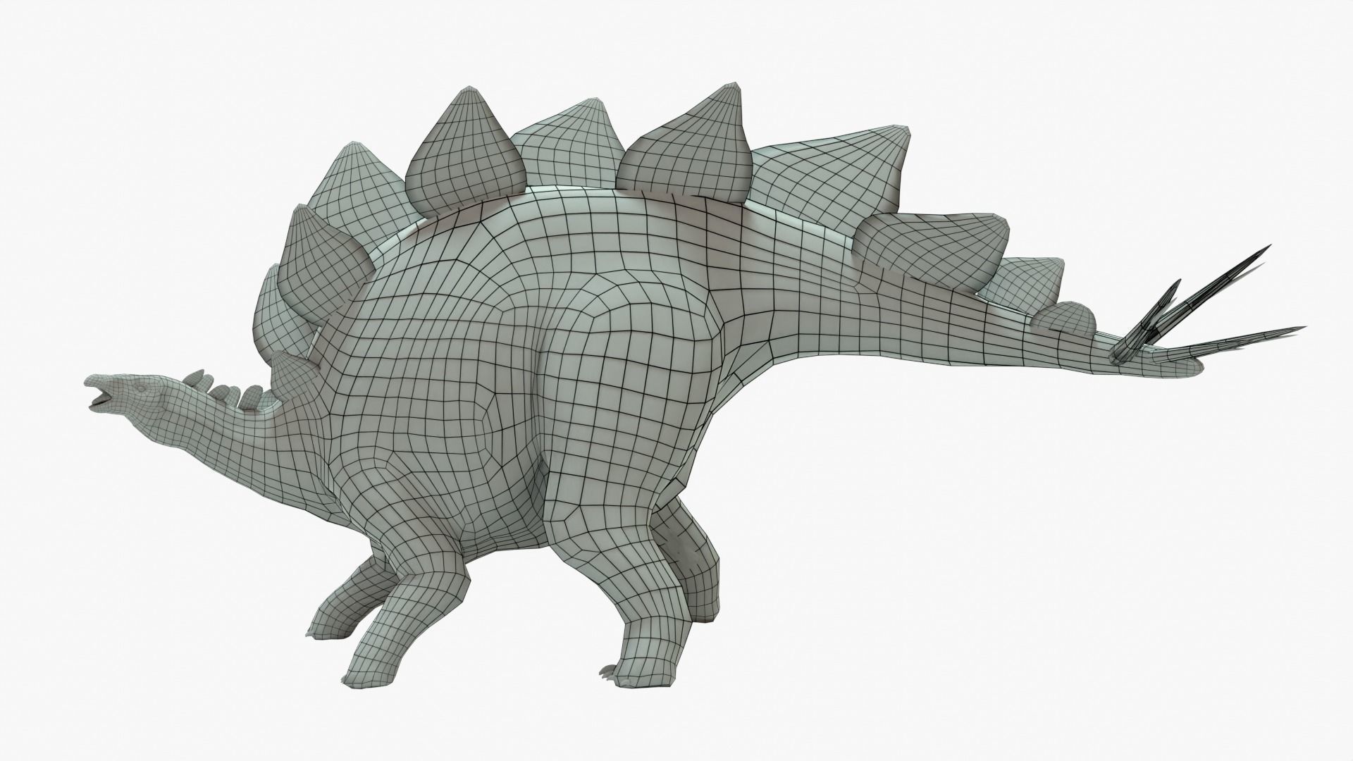Stegosaurus Rigged Basemesh With Skeleton 3D Model Collection_13