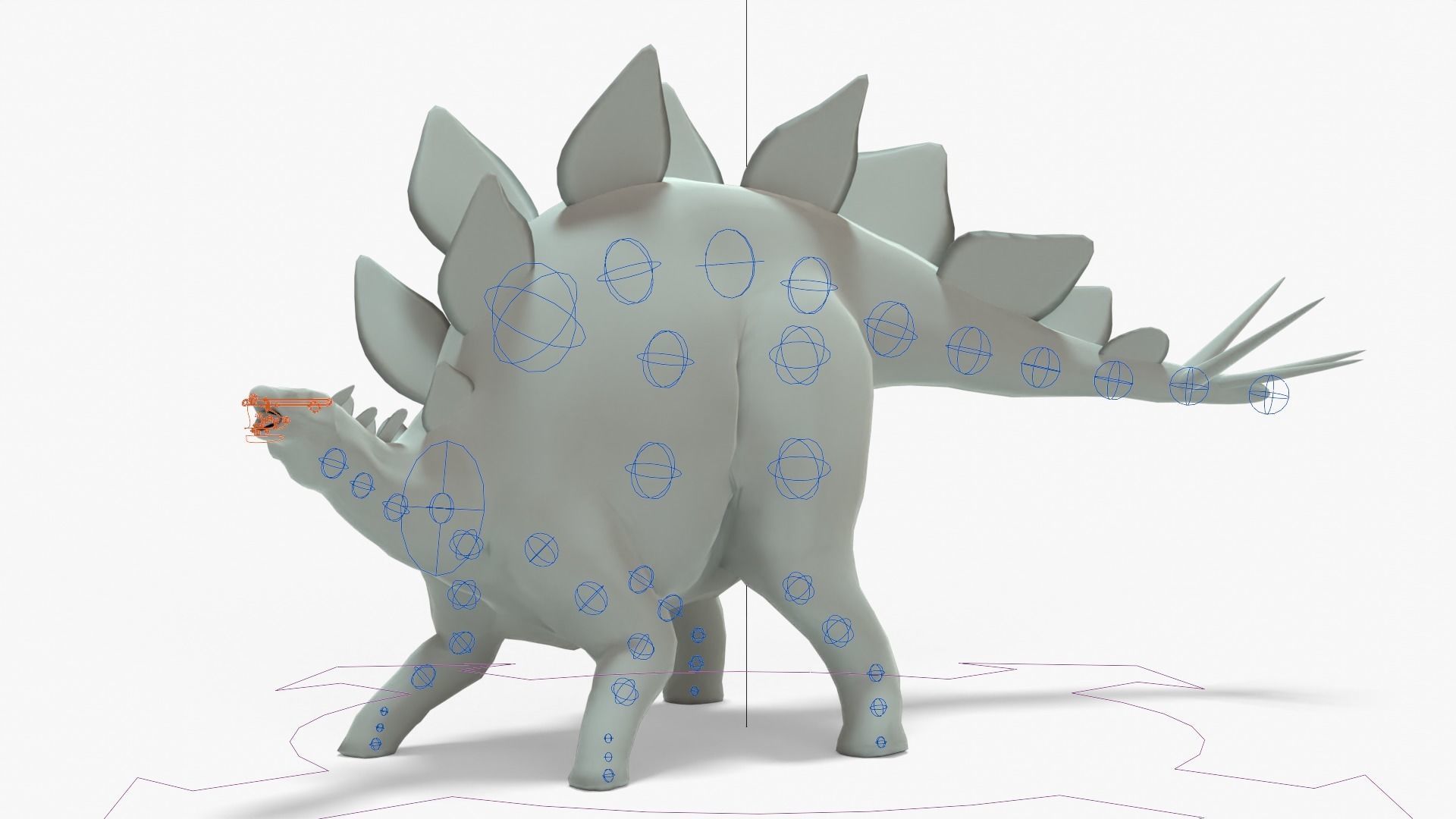 Stegosaurus Rigged Basemesh With Skeleton 3D Model Collection_19