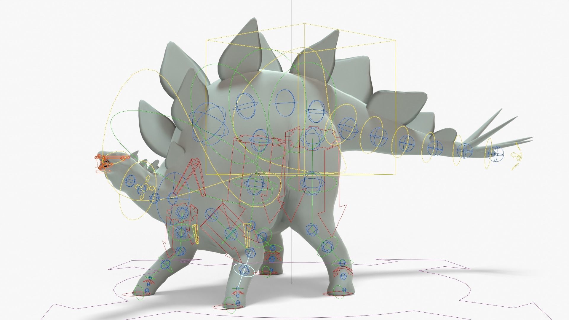 Stegosaurus Rigged Basemesh With Skeleton 3D Model Collection_21