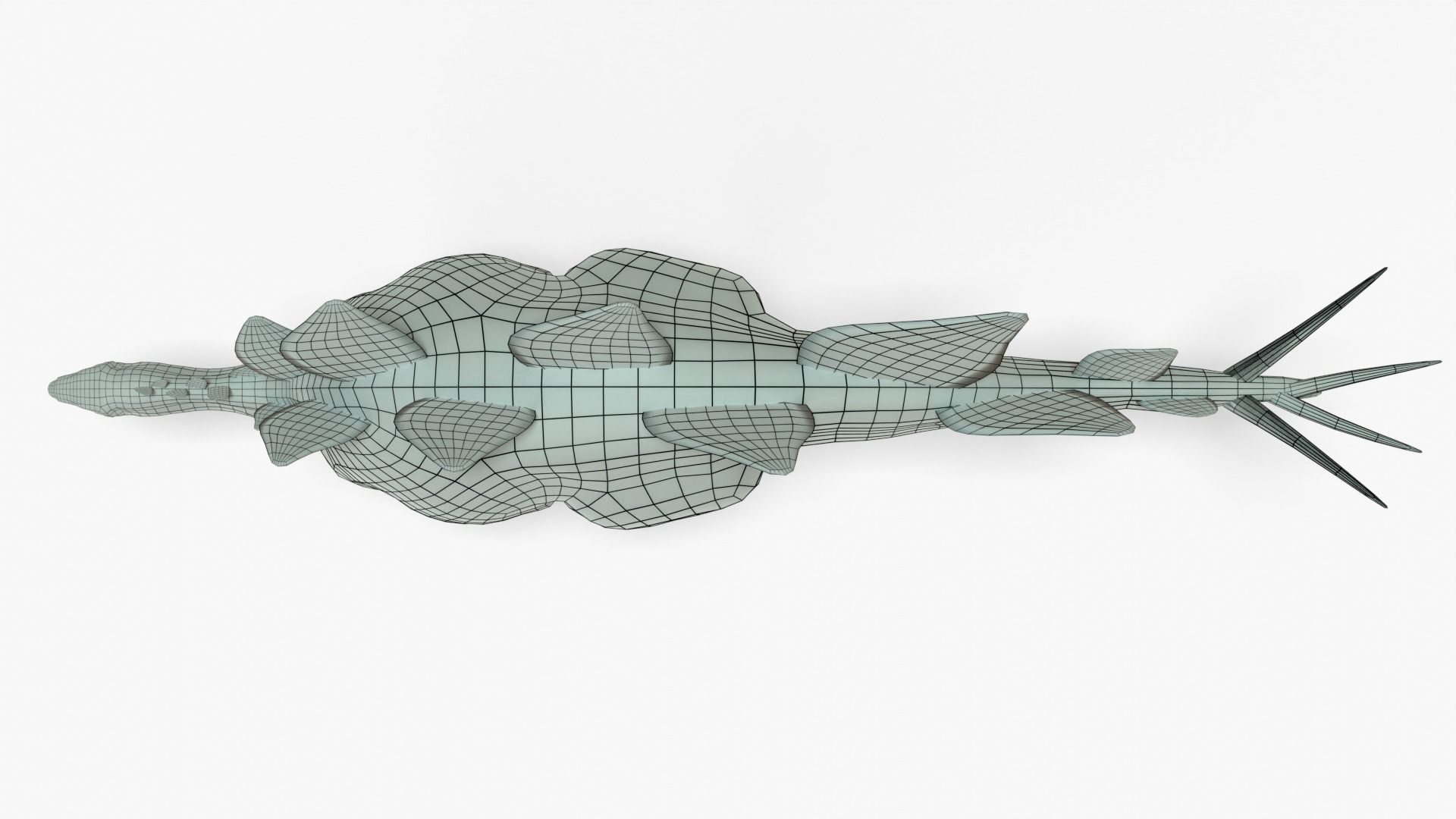 Stegosaurus Rigged Basemesh With Skeleton 3D Model Collection_10