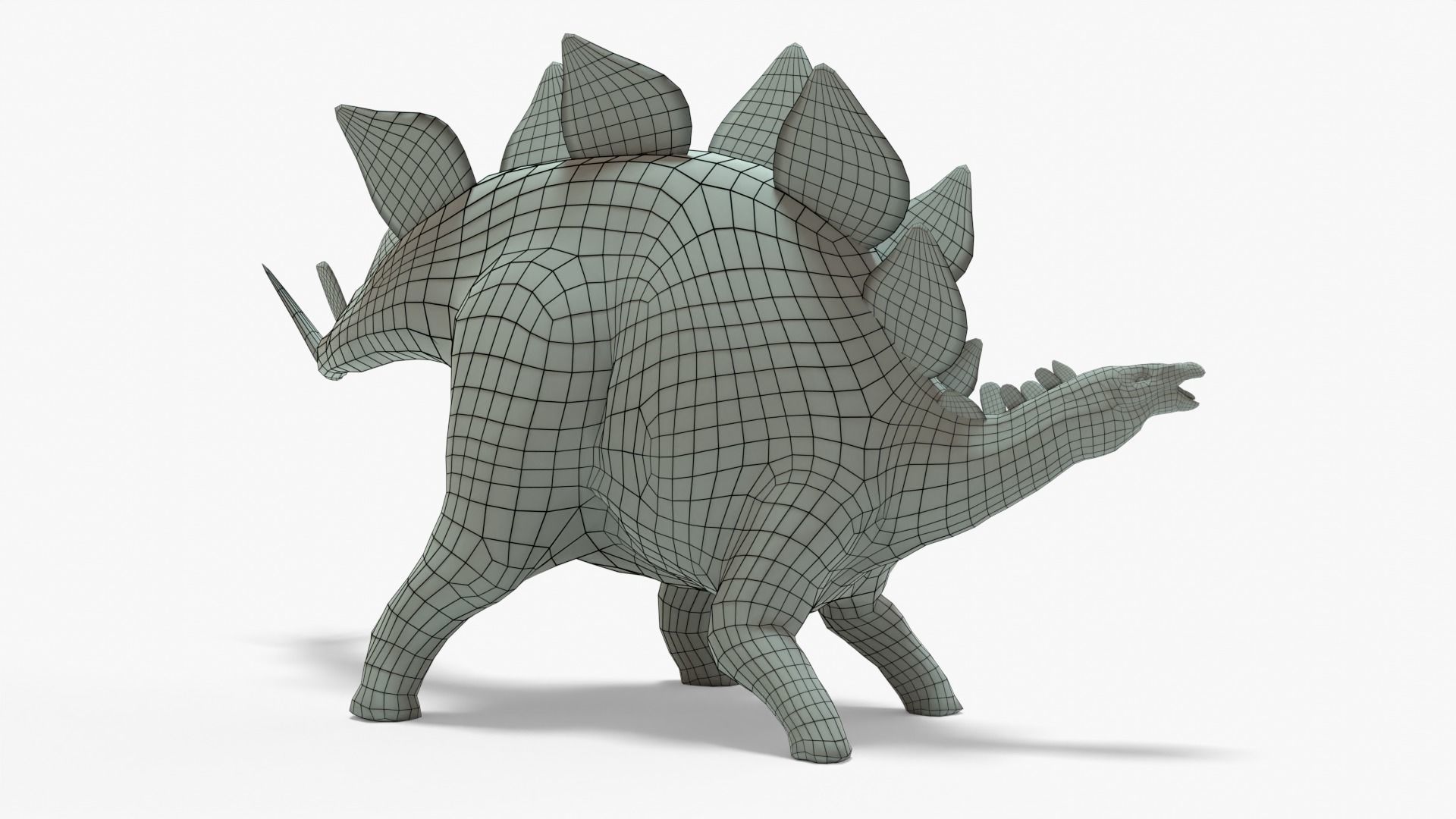 Stegosaurus Rigged Basemesh With Skeleton 3D Model Collection_18