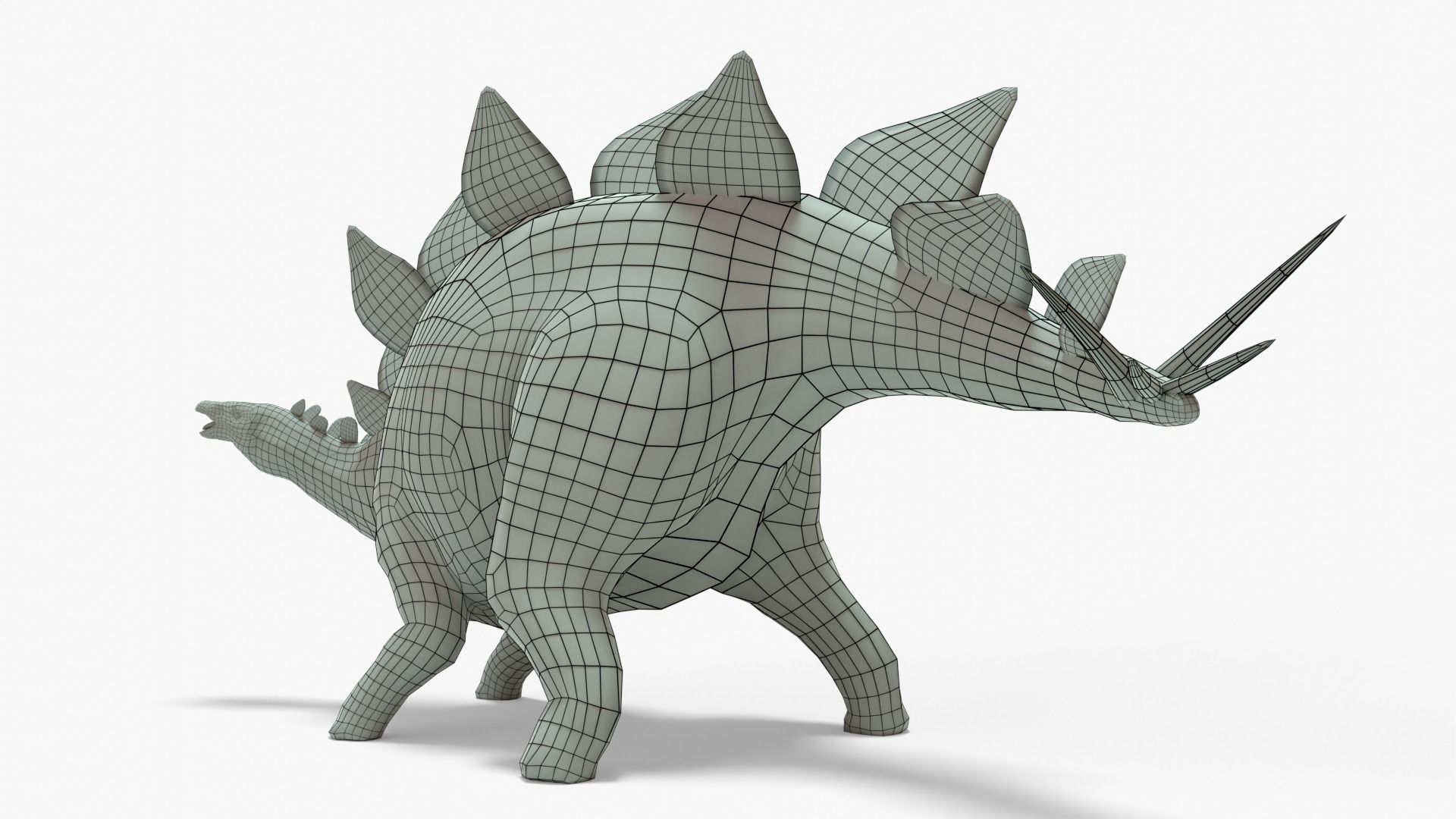 Stegosaurus Rigged Basemesh With Skeleton 3D Model Collection_17