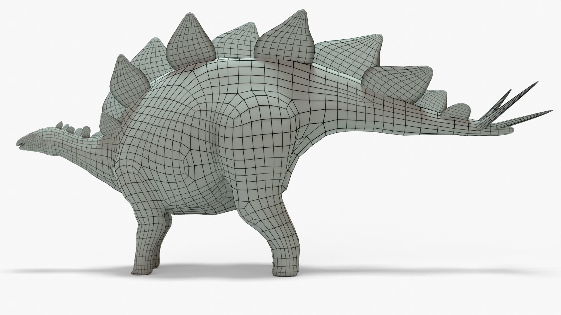 Stegosaurus Rigged Basemesh With Skeleton 3D Model Collection_16